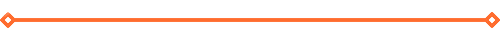 Section Divider